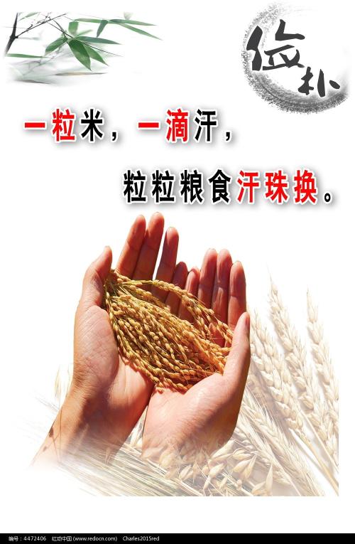 法国驾驶执照怎么仿制